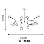 Modern Glass Designer Hanging Chandelier Nordic